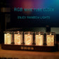 Digital LED Nixie Tube Clock