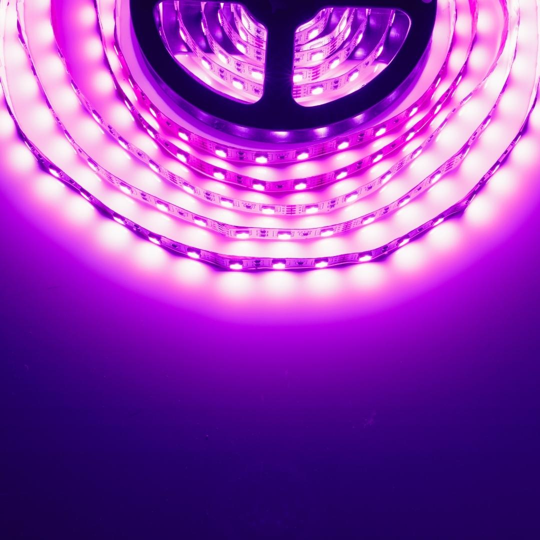 MissLED Custom LED Light Strip V2