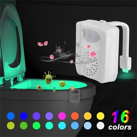 Toilet Seat Night Light